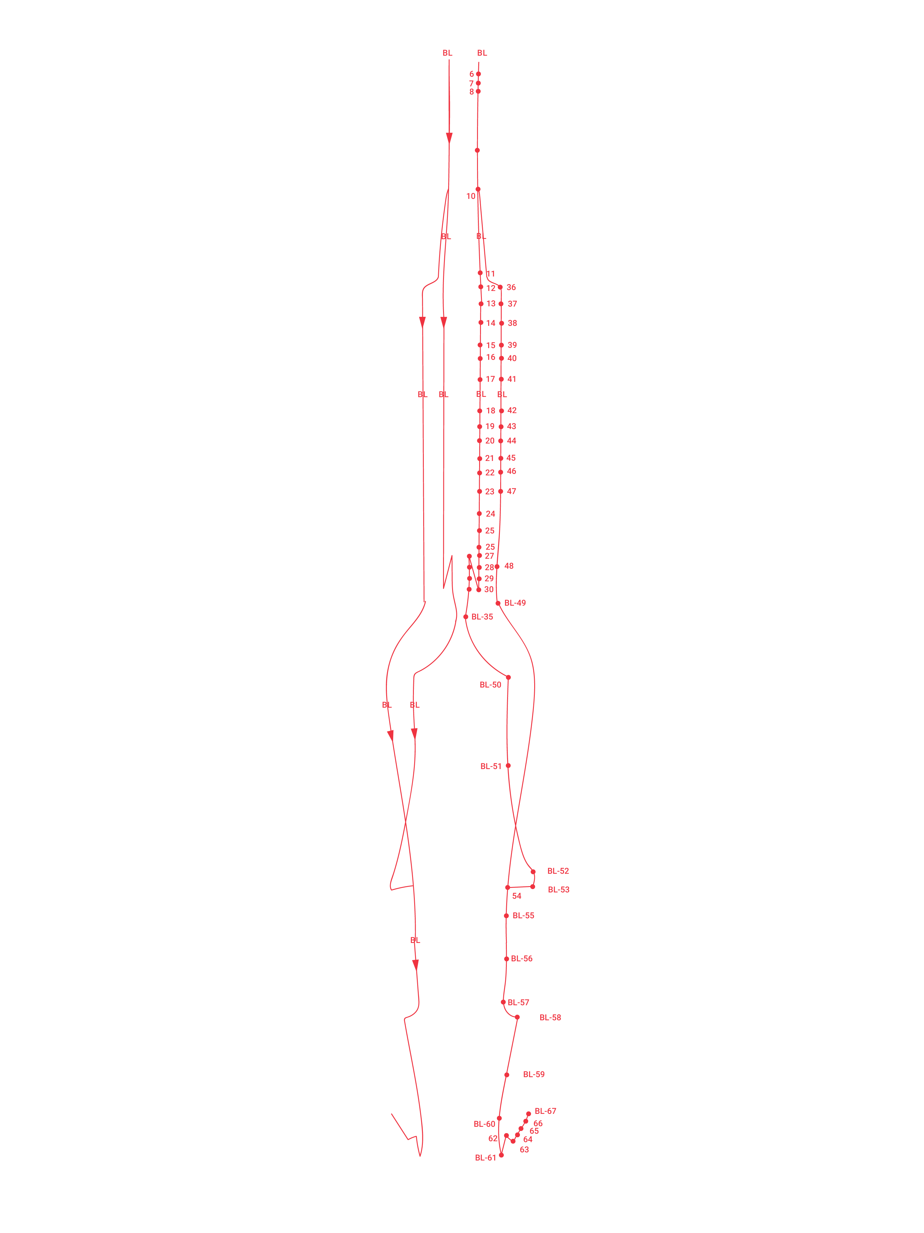 BackBladder