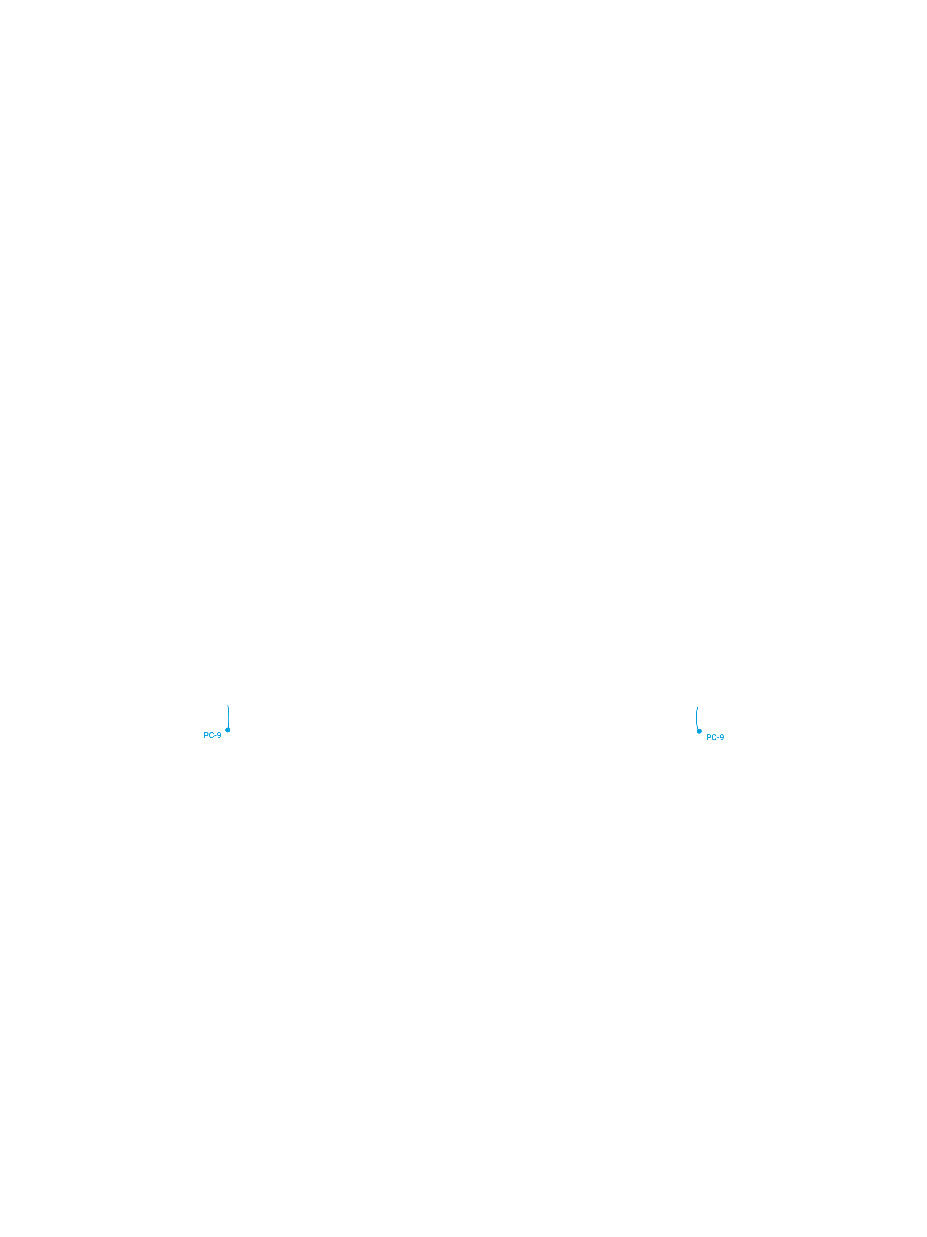 BackPericardium