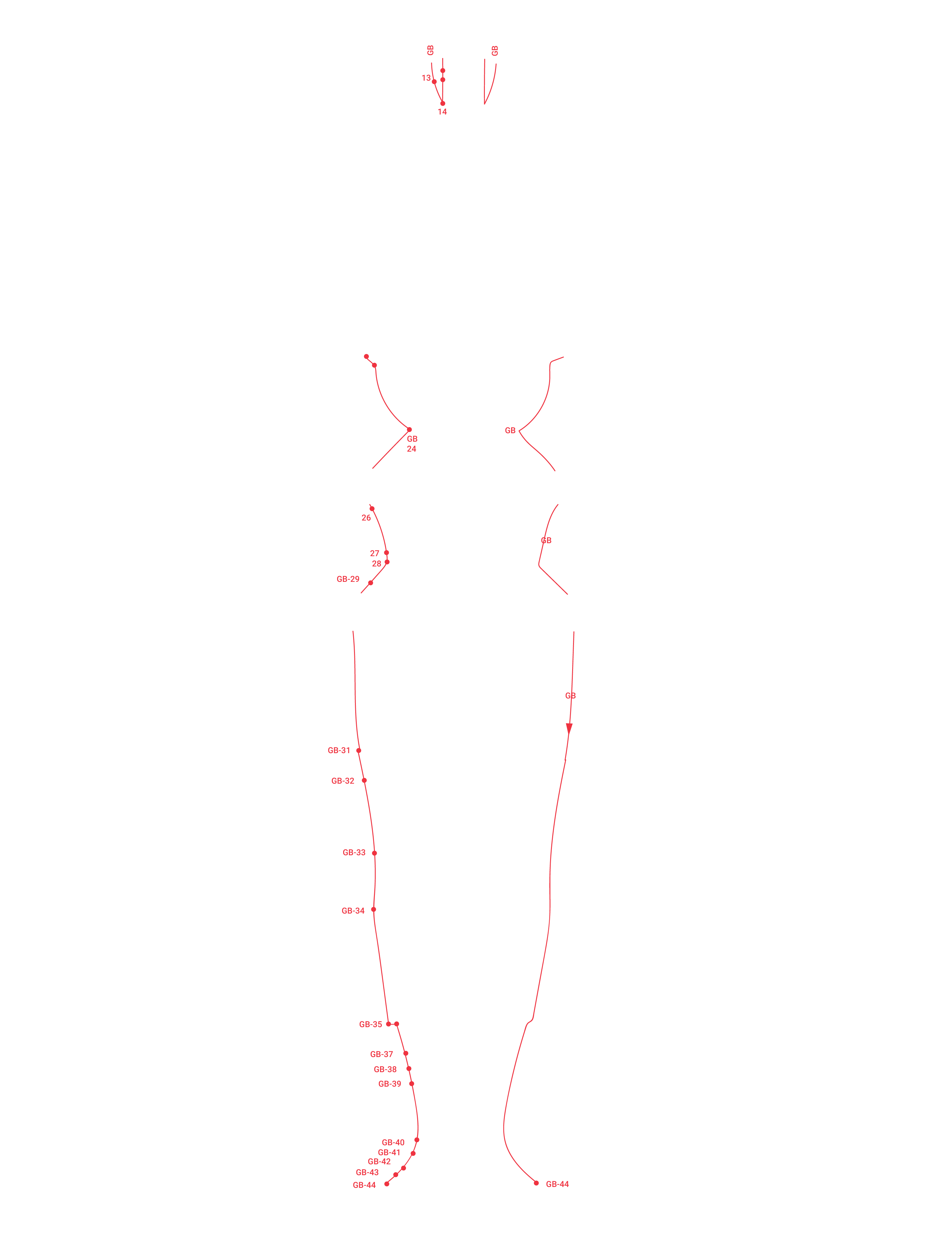 Front Gallbladder