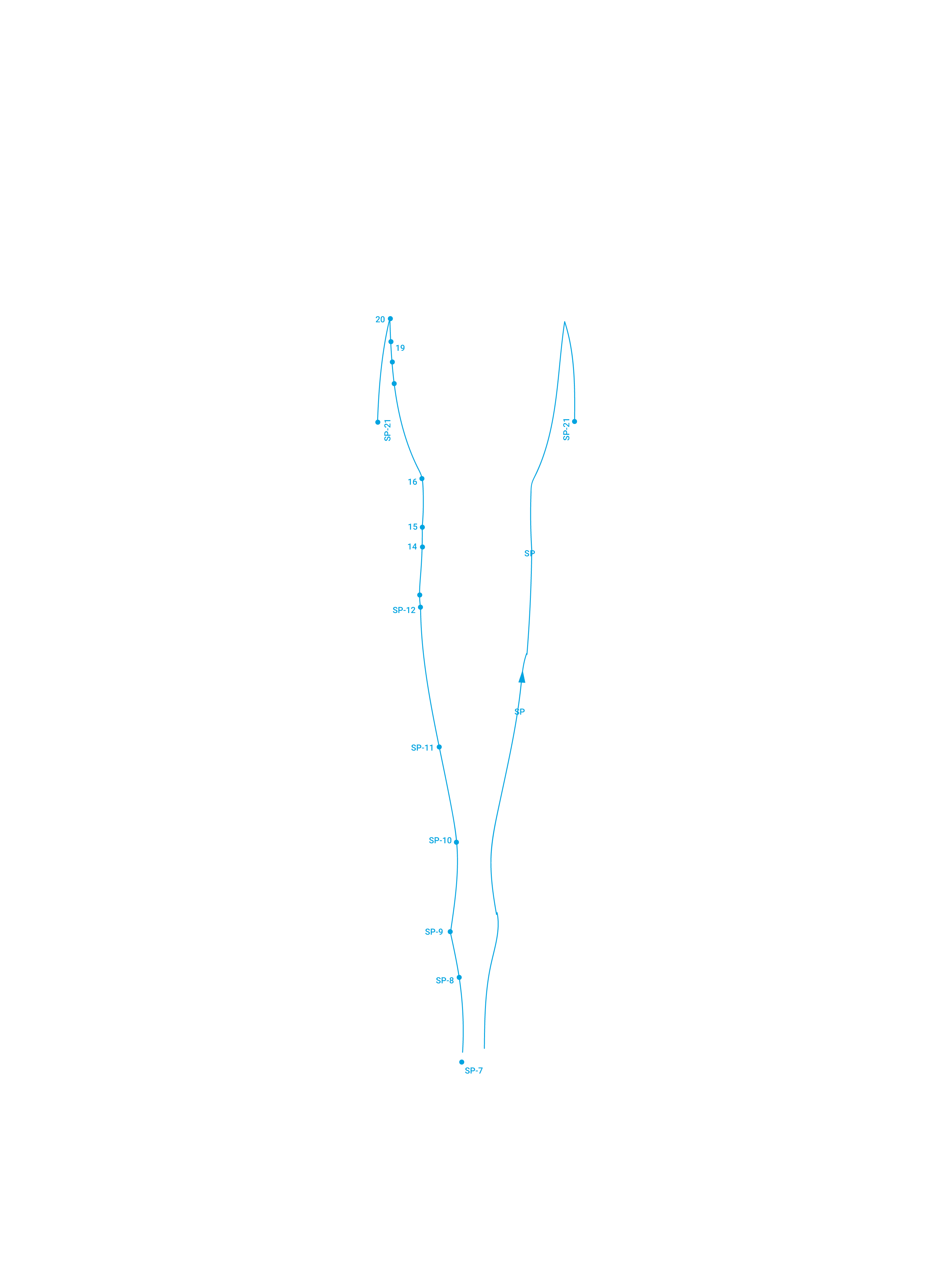 Front Spleen
